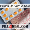 Pilules De Vers À Soie new13
